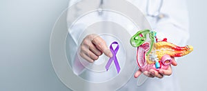 Doctor holding Purple ribbon with human Pancreas model for support Pancreatic cancer November awareness month, Pancreatitis,