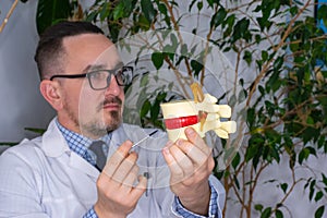 Doctor holding and showing a plastic model of vertebra column to patient on appointment