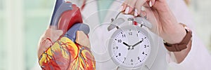 Doctor holds alarm clock near scientific heart model