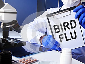 Doctor holds Bird flu diagnosis in the clinic photo