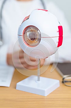 Doctor with human Eye anatomy model with magnifying glass. Eye disease, Refractive Errors, Age Related Macular Degeneration,