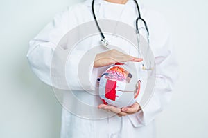 Doctor with human Eye anatomy model with magnifying glass. Eye disease, Refractive Errors, Age Related Macular Degeneration,