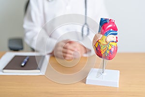 Doctor with human Heart anatomy model. Cardiovascular Diseases, Atherosclerosis, Hypertensive Heart, Valvular Heart, photo