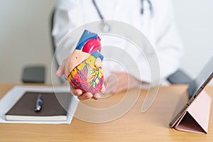 Doctor with human Heart anatomy model and tablet. Cardiovascular Diseases, Atherosclerosis, Hypertensive Heart, Valvular Heart, photo