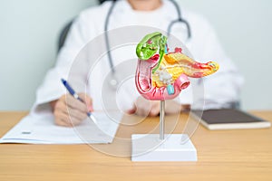 Doctor with human Pancreatitis anatomy model with Pancreas, Gallbladder, Bile Duct, Duodenum, Small intestine. Pancreatic cancer,