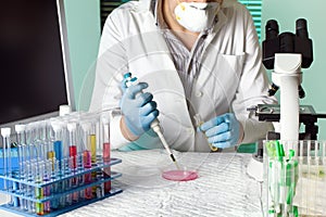 Doctor inoculating sample for study in petri dish