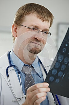 Doctor looking at medical scan