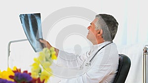 Doctor looking at a scan