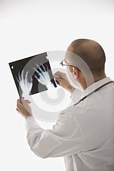Doctor looking at xrays. photo