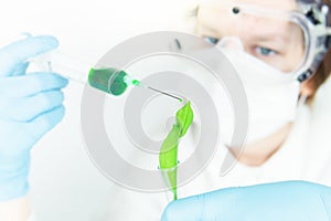 A doctor in a medical mask and protective glasses inoculates a green plant