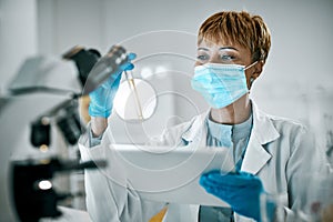 Doctor, microscope or black woman on tablet and test tube in science lab for DNA research, medical or medicine data