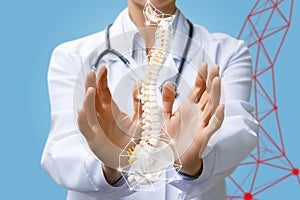 A doctor operating with a digital artificial spine model with pelvis unit