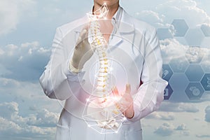 A doctor operating with a digital artificial spine model with pelvis unit