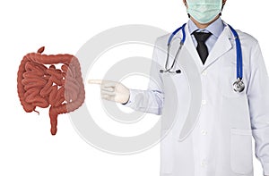Doctor point to intestine human