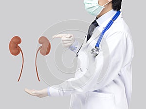 Doctor pointed kidney disease