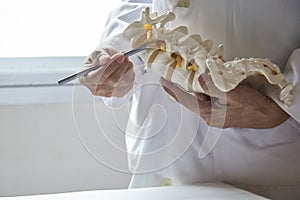 A doctor pointing at lumbar vertebra model in medical office