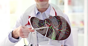 Doctor points pen to artificial model of human liver