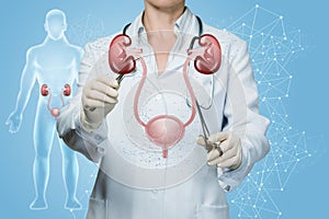 The doctor produces a surgical treatment of the urinary system