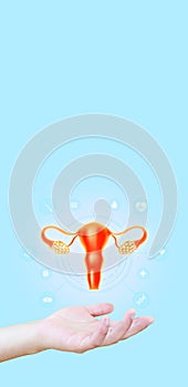Doctor's hand hold a uterus with health icons. Vertical light blue background photo