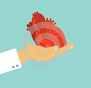Doctor`s hand holding human heart on background, vector illustration concept for health care and medical.