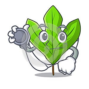 Doctor sassafras leaf isolated in the character