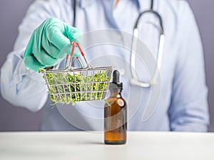 Doctor or Scientist hand holding a basket of marijuana leaves and male buds flowers and cannabis extraction oil bottle