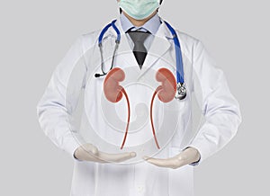 Doctor show kidney disease in gray background photo