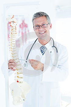 Doctor showing anatomical spine with his pen