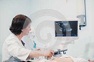 Doctor showing baby ultrasound image on computer to pregnant woman