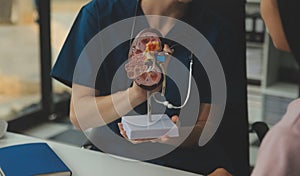 Doctor showing internal organs in 3d human model. Woman with stethoscope in lab coat sitting at table with laptop and talking