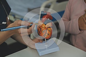 Doctor showing internal organs in 3d human model. Woman with stethoscope in lab coat sitting at table with laptop and talking