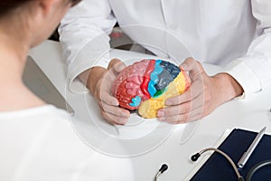 Doctor showing a model of the brain with functions