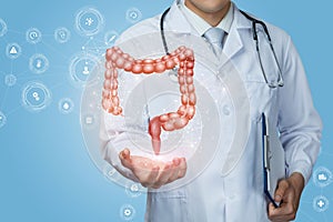 Doctor shows the colon of a person