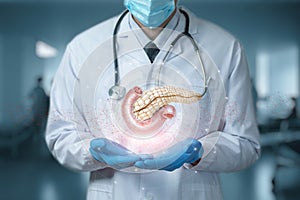 Doctor shows the pancreas on a blurred background