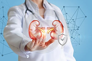 Doctor shows protected human kidneys .