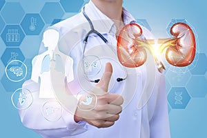 Doctor shows that your kidneys cured.