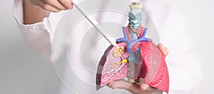 Doctor with Smoker and normal Lung anatomy for Disease. Lung Cancer, Asthma, Chronic Obstructive Pulmonary or COPD, Bronchitis,