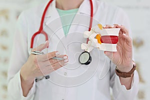 Doctor with stethoscope holds realistic model of vertebra