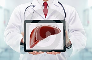 Doctor with stethoscope in a hospital. liver on the tablet
