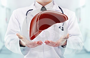 Doctor with stethoscope and liver on the hands in a hospital