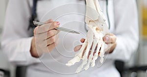 Doctor surgeon traumatologist shows the skeleton of human foot