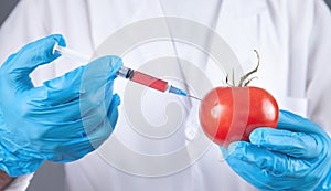 Doctor with syringe and tomato. Genetic modification