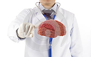 Doctor touch check 3D brain photo