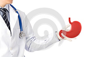 Doctor touch check organ stomach 3D photo