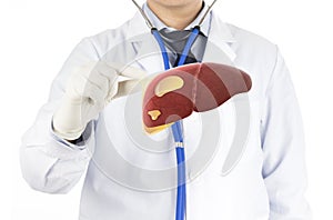 Doctor touch fatty on liver