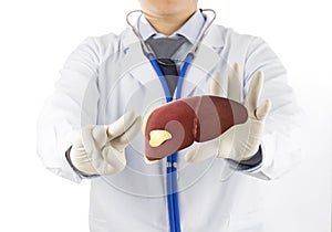 Doctor touch fatty on liver photo