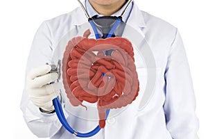 Doctor touch intestine check human intestine