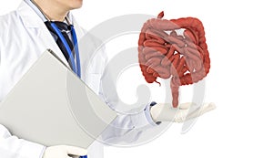 Doctor touch intestine check human intestine