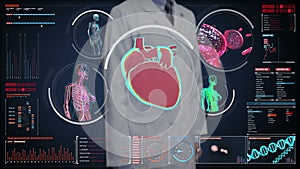 Doctor touching digital screen, Female body scanning blood vessel, lymphatic, heart, circulatory system in digital display