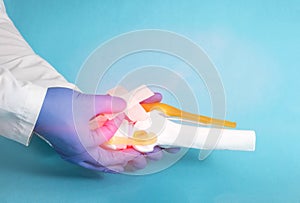 Doctor traumatologist orthopedist glues a medical plaster on the knee joint mockup on a blue background. The concept of